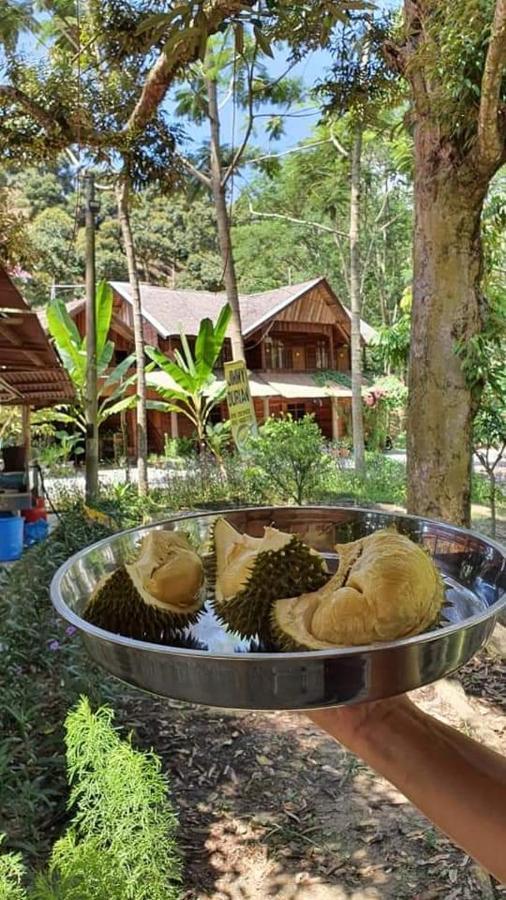 KarakJimmy Durian Orchard公寓 外观 照片